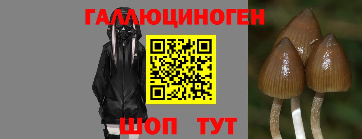 Псилоцибиновые грибы Psilocybine cubensis  где купить наркоту  Советский  Вход с VPN 